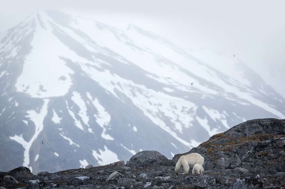 Svalbard Explorer: Best of High Arctic Norway - Exodus Adventure Travels - Finland - Image 7