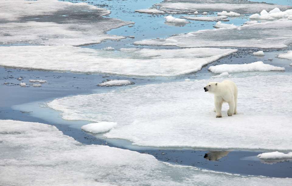 Svalbard Explorer: Best of High Arctic Norway - Exodus Adventure Travels - Finland - Image 8