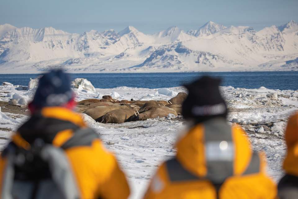 Svalbard in Spring: Sea Ice, Pristine Snow and Wildlife (12 Days) - Exodus Adventure Travels - Finland - Image 6