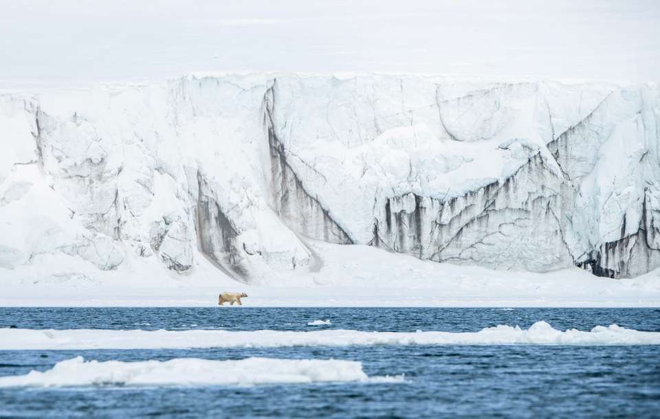 Svalbard in Spring: Sea Ice, Pristine Snow and Wildlife - Quark Expeditions - Finland - Image 4