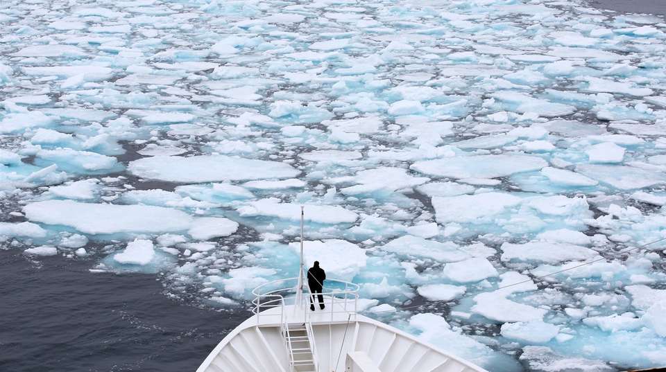 Svalbard- Last Stop before the North Pole - undefined - Image 6