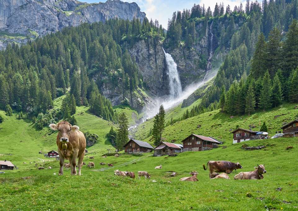 Swiss Landscapes Castles, Lakes, and Peaks - 6 days - On The Go Tours - Switzerland - Image 13