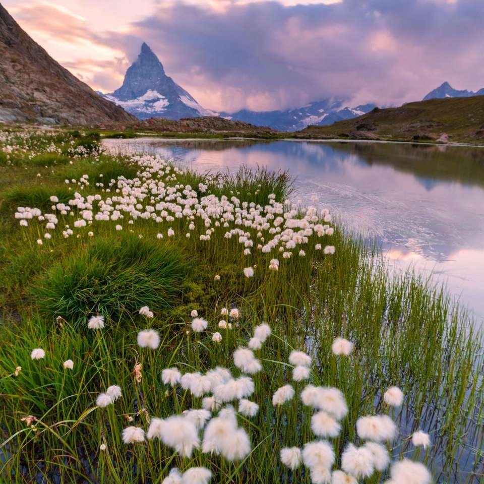 Switzerland and Austria - Trafalgar - Switzerland - Image 6
