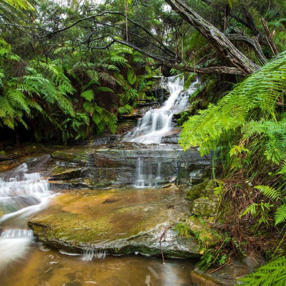 Sydney, Hunter Valley & Blue Mountains Escape - undefined - Image 2