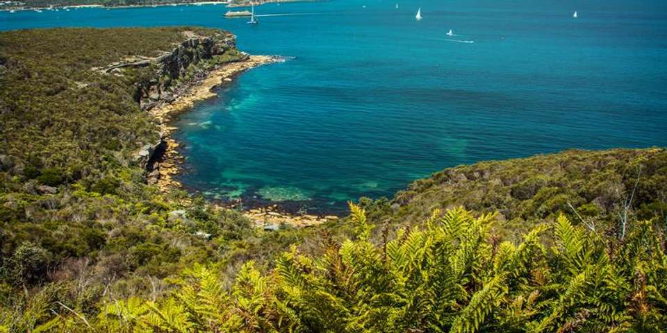 Sydney Roundtrip: Australia's Greatest Hits - G Adventures - Australia - Image 1