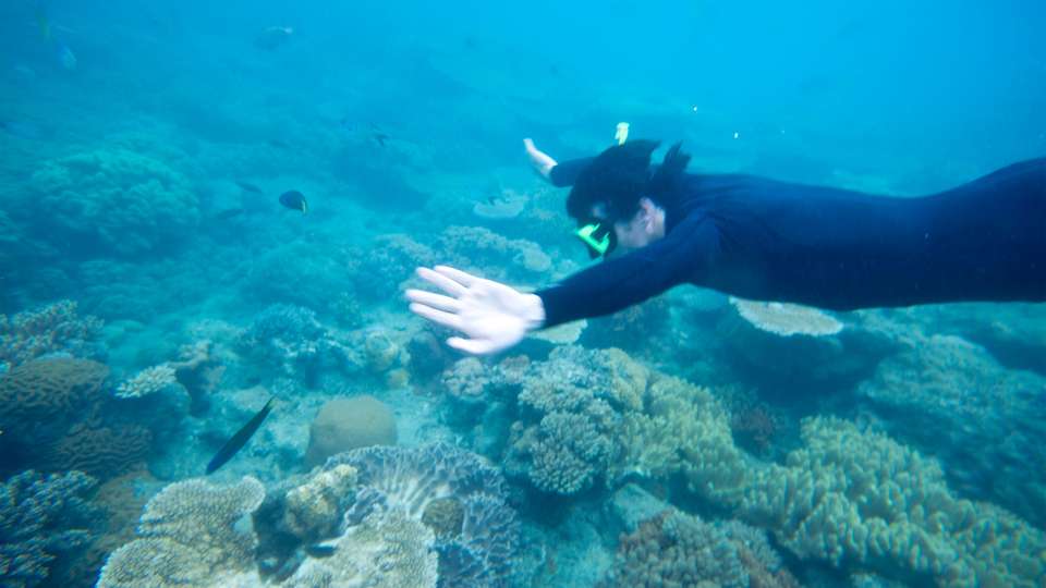 Sydney Roundtrip: Australia's Greatest Hits - G Adventures - Australia - Image 17