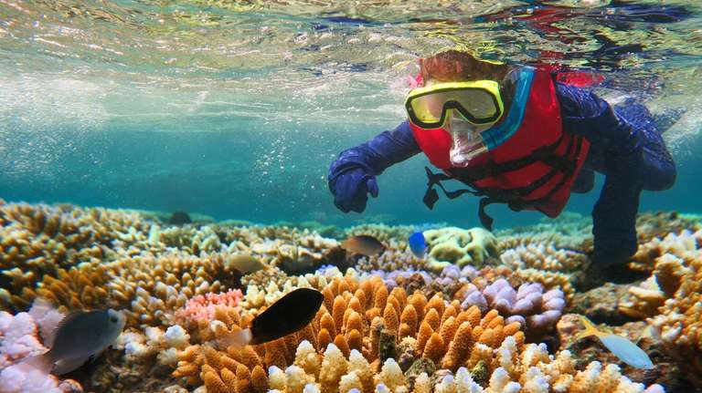 Best of East Coast Australia – 16 Day Boutique Tour trip - alternative tour available