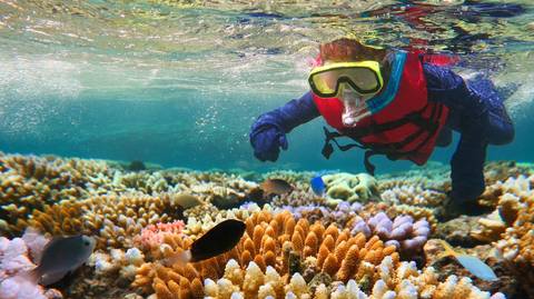 Best Of East Coast Australia – 16 Day Boutique Tour