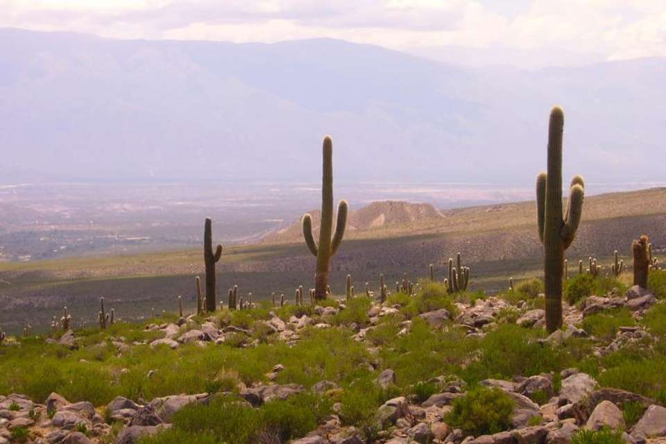Tafi Del Valle Day Tour - Tangol Tours - Argentina - Image 5