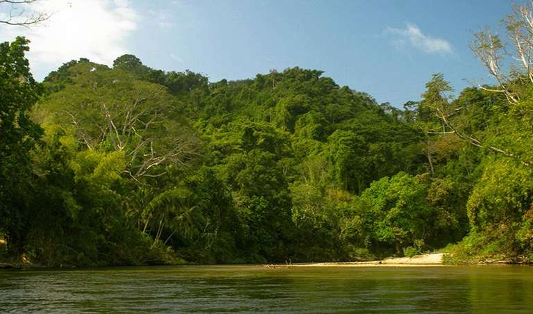 Taironaka Natural Experience 3D/2N trip - alternative tour available