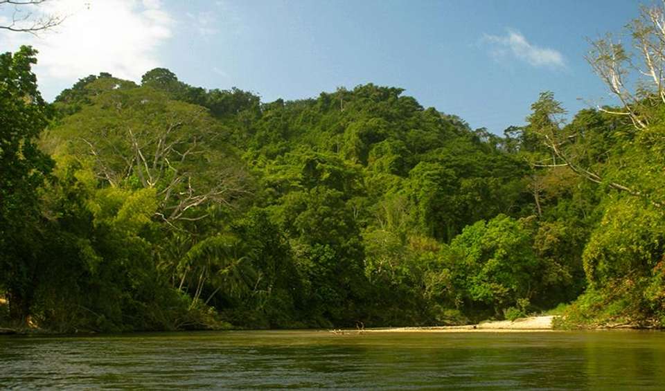 Tayrona Natural Experience 3D/2N - Bamba - Colombia - Image 1