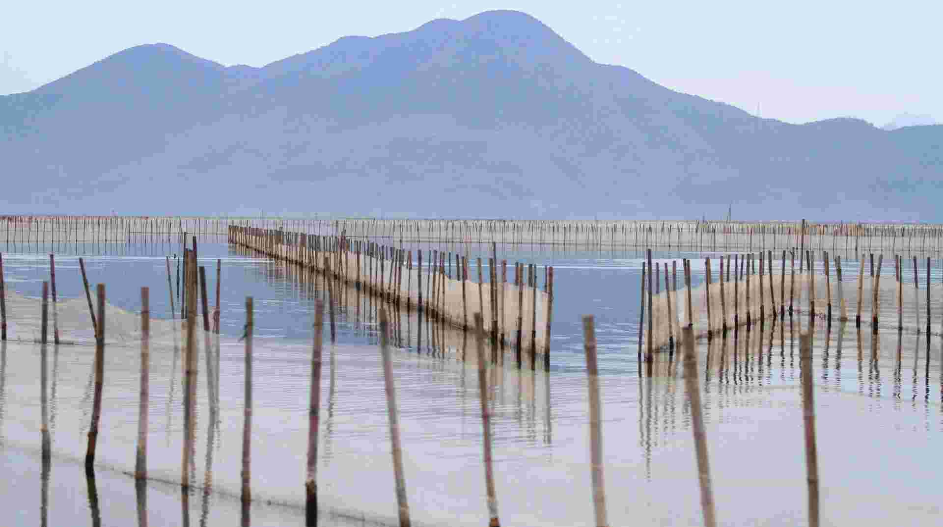 Tam Giang Lagoon Half Day Tour