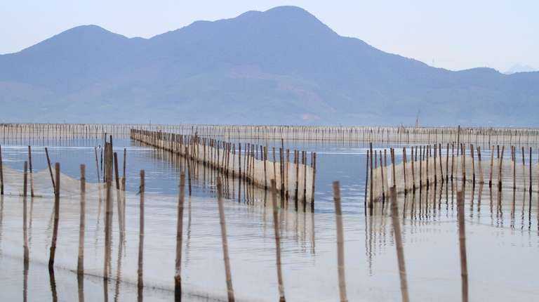 Tam Giang Lagoon Half Day Tour trip - alternative tour available