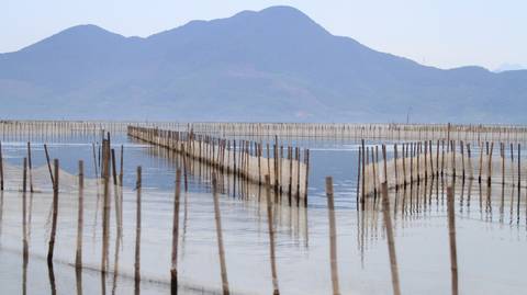 Eco Tour: Tam Giang Lagoon Half Day Tour