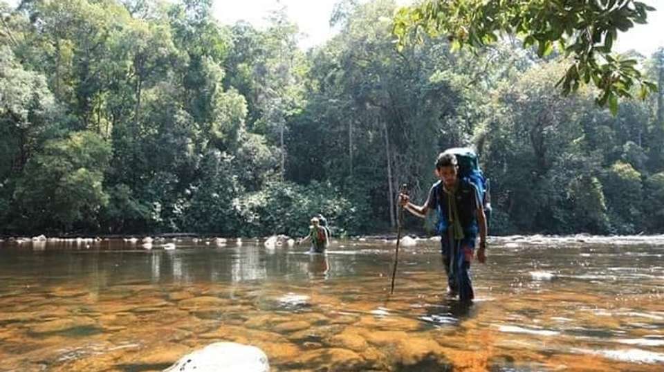 Taman Negara from Kuala Lumpur in 3 days - On Tour Malaysia - Malaysia - Image 4