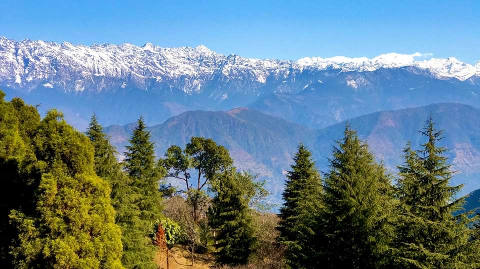 Langtang & Tamang Heritage Trail Trek - Travel Max Guide - Nepal - Image 6