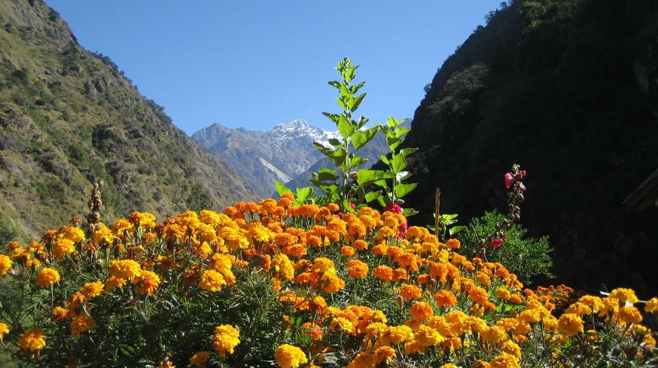 Tamang Heritage Trek - Nepal Eco Adventure Pvt Ltd - Nepal - Image 3
