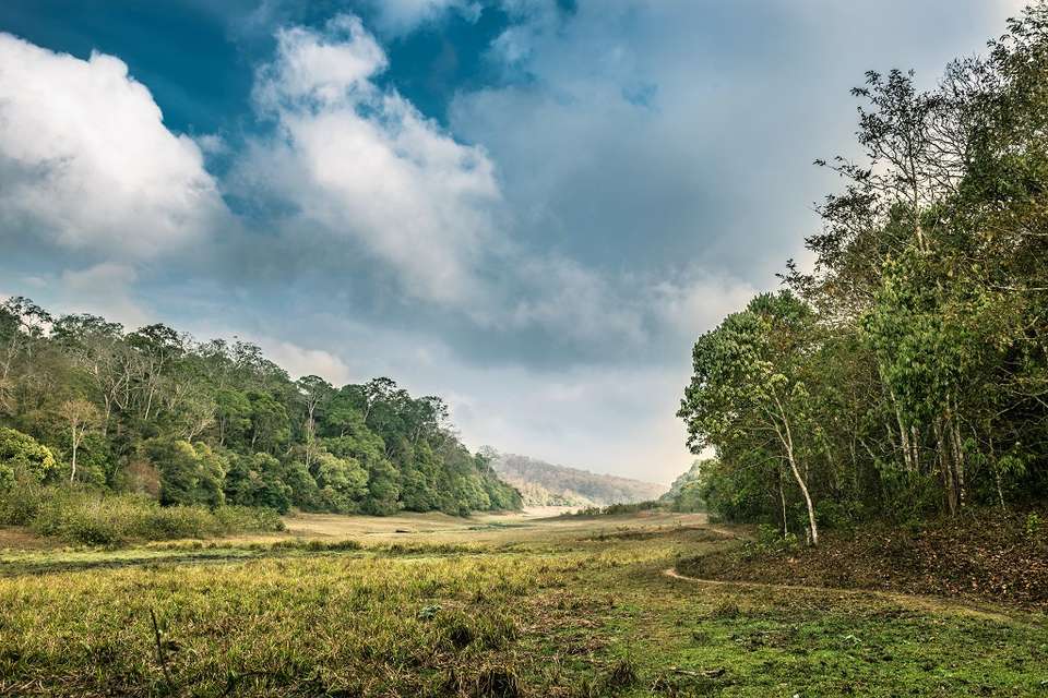 Tamil Nadu And Kerala - Destination Services - India - Image 8