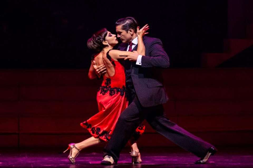 Tango Porteño Dinner & Show with Tango Class - Tangol Tours - Argentina - Image 5
