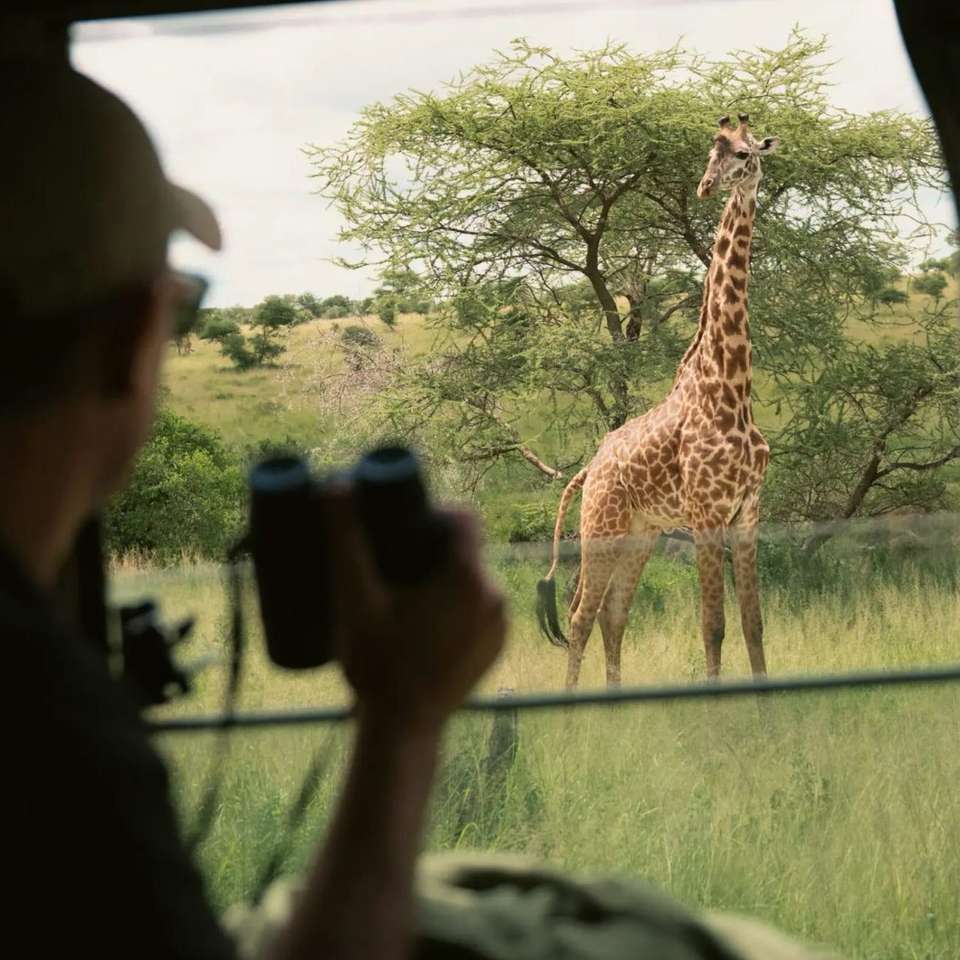 Tanzania: Serengeti and Safari - undefined - Image 5