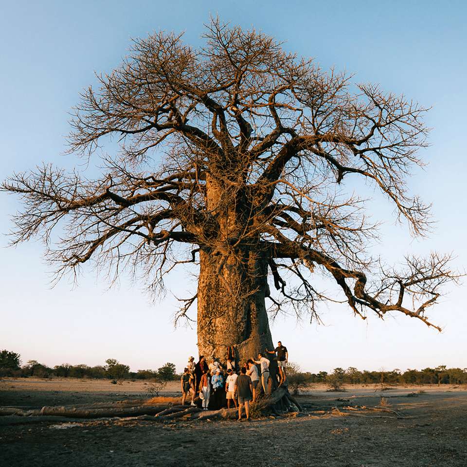 Tanzania Adventure - undefined - Image 1