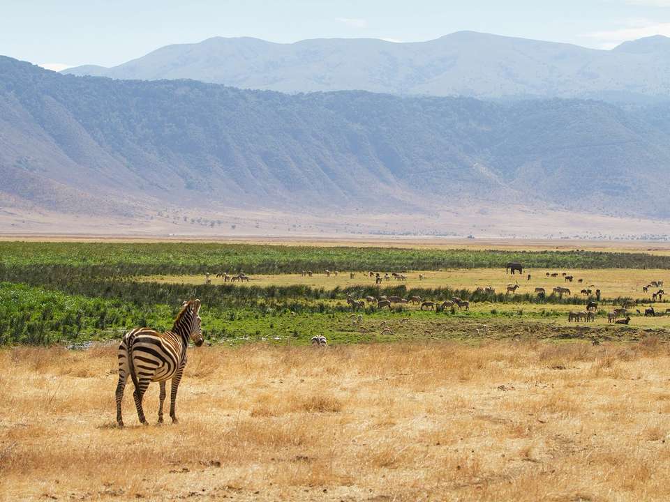 Tanzania & Zanzibar (Accommodated) - 10 days - undefined - Image 3