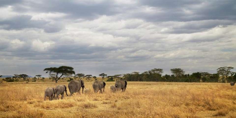 Tanzania Camping Adventure - G Adventures - Tanzania - Image 10