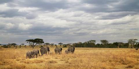 Adventure And Sport Tour: Tanzania Camping Adventure