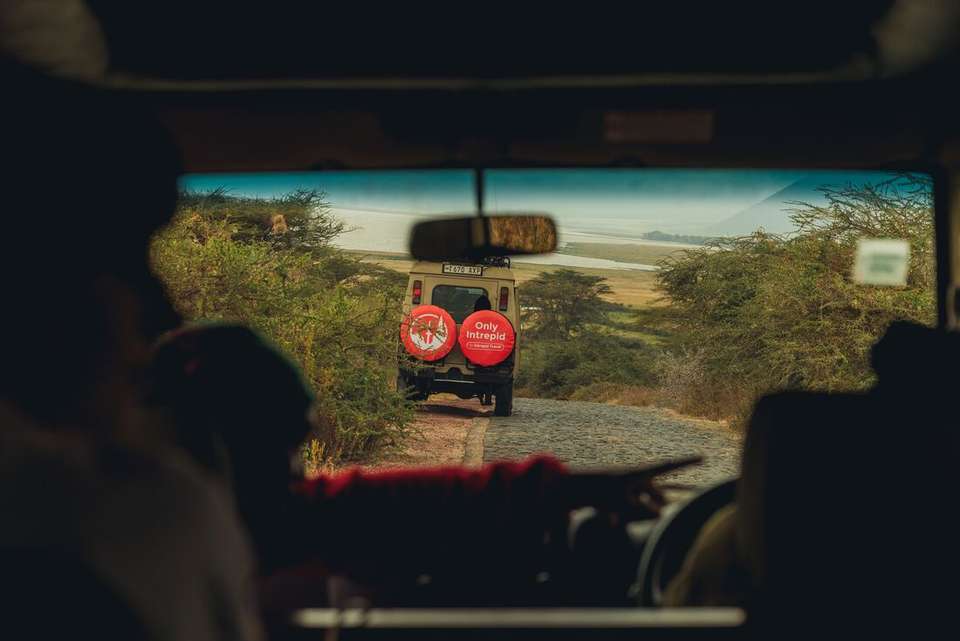 Tanzania Family Safari - Intrepid Travel - Kenya - Image 13