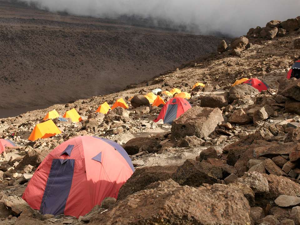Image 6 of 21