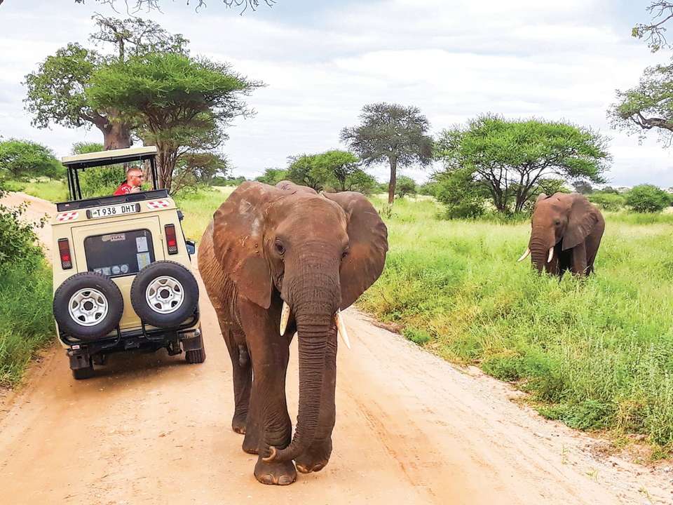 Tanzania Safari - Contiki - Tanzania
