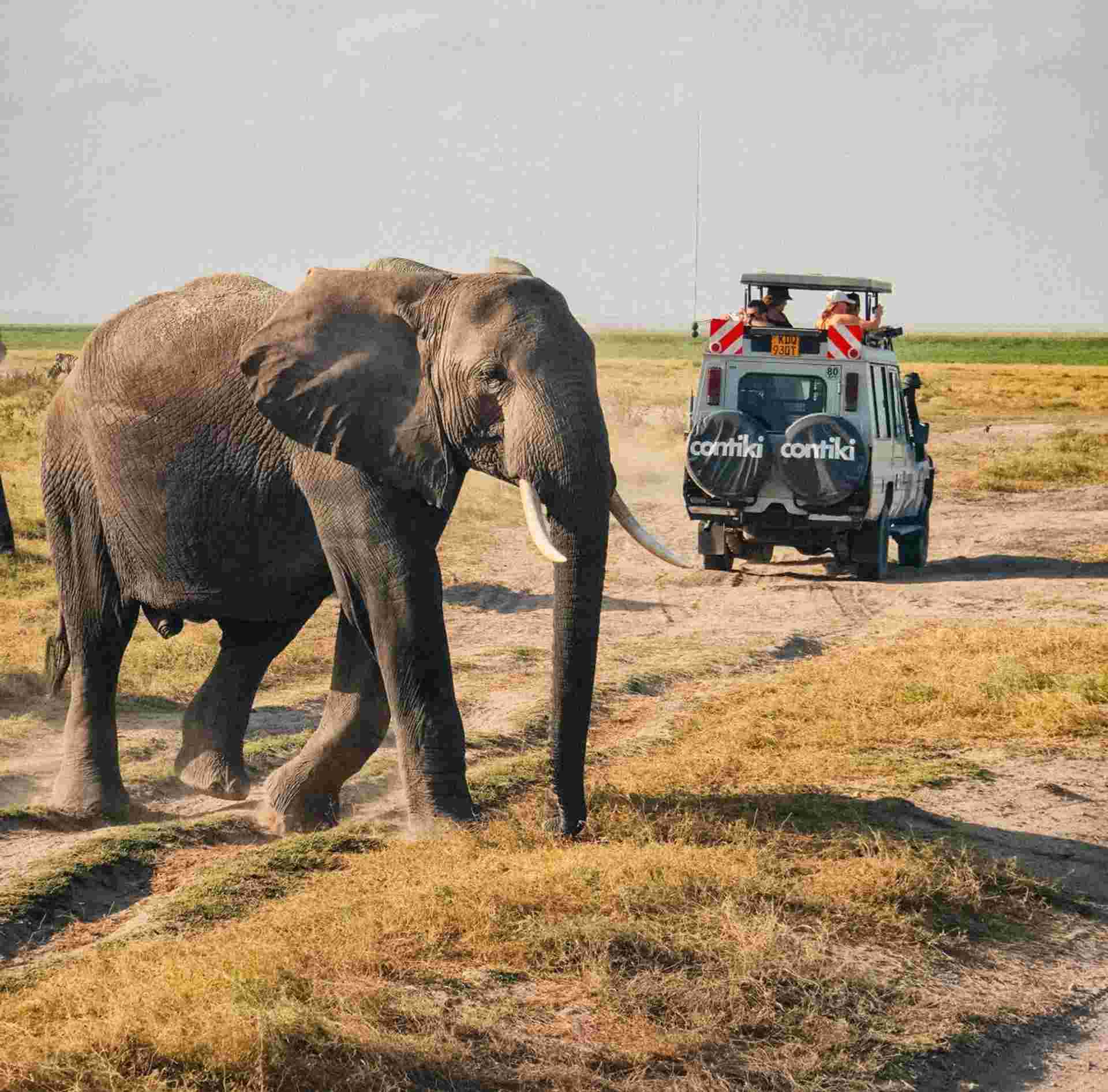 Tanzania Safari 35 to 45