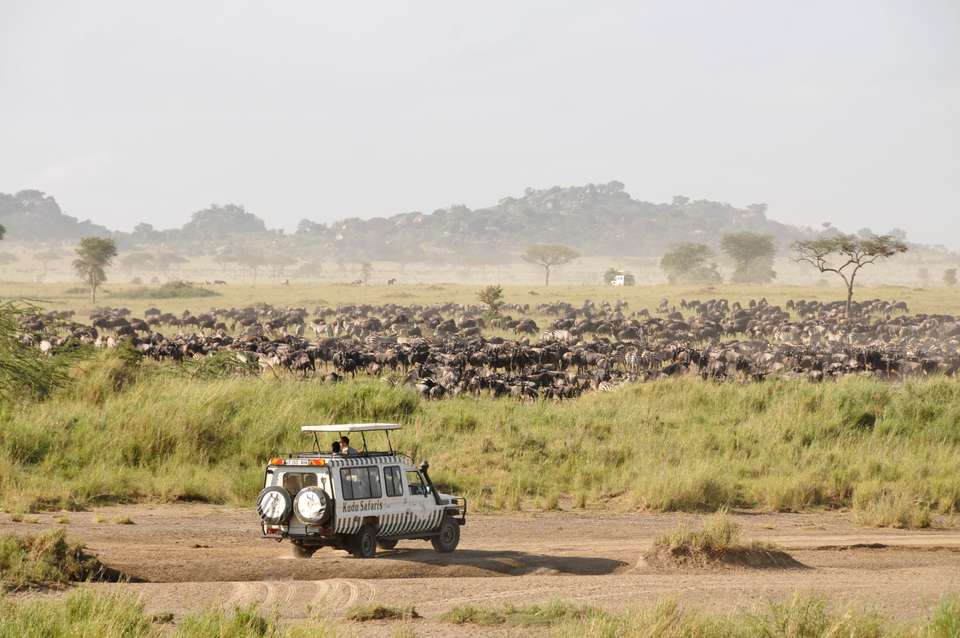 Tanzania Safari Adventure - Exodus Adventure Travels - Tanzania - Image 23