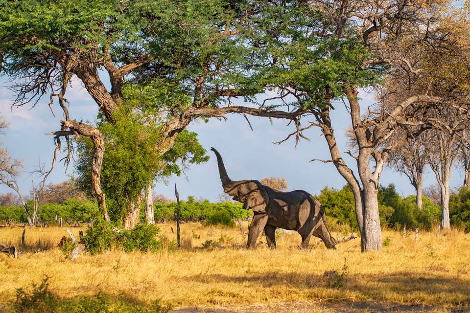 Tanzania Safari Adventure - Exodus Adventure Travels - Tanzania - Image 20