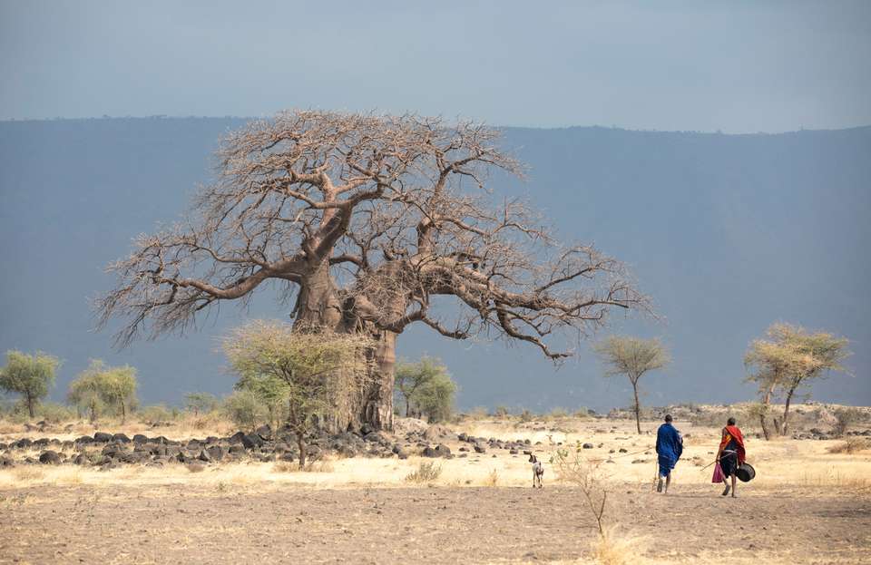 Tanzania Safari Adventure - Exodus Adventure Travels - Tanzania - Image 8