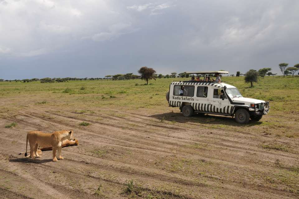 Tanzania Safari Adventure - Exodus Adventure Travels - Tanzania - Image 7
