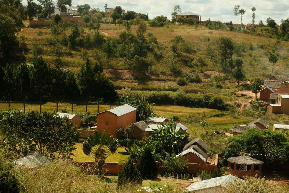Tanzania Safari & African Culture Tour - undefined - Image 7
