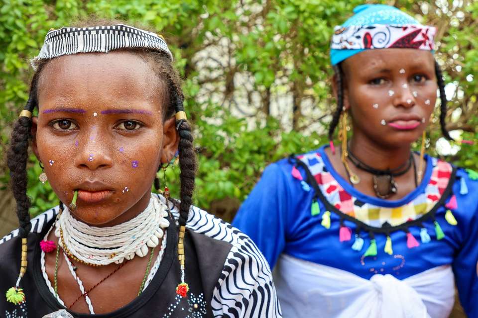 Tanzania Safari & African Culture Tour - undefined - Image 8