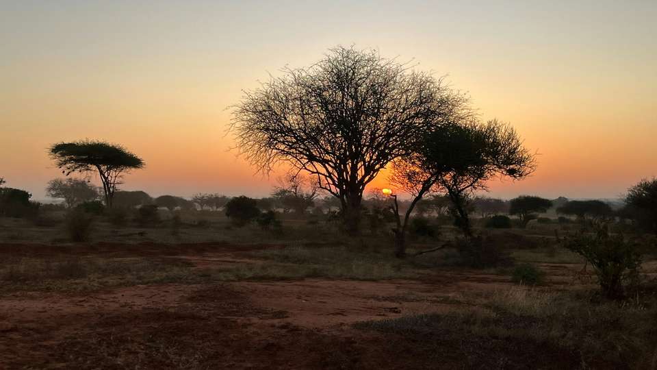 Tanzania Safari & African Culture Tour - undefined - Image 14