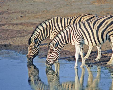 Tanzania Safari & Beach - 14 Days - Winter Tours