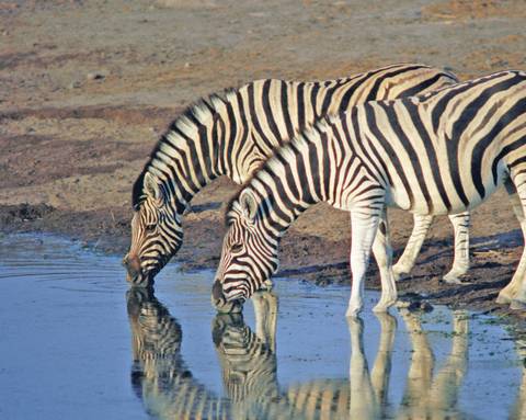 Tanzania Safari & Beach - 14 Days - December 2026