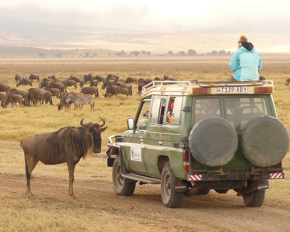 Tanzania Safari & Beach - 14 days - On The Go Tours - Tanzania - Image 2