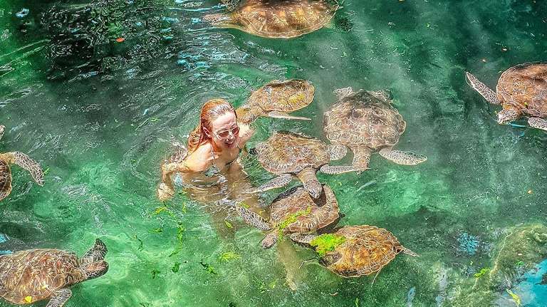 Tanzania Safari and Zanzibar Beach Holiday trip - alternative tour available