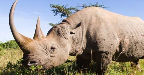 Ngorongoro Crater Adventure Tour: Tanzania Safari In Style