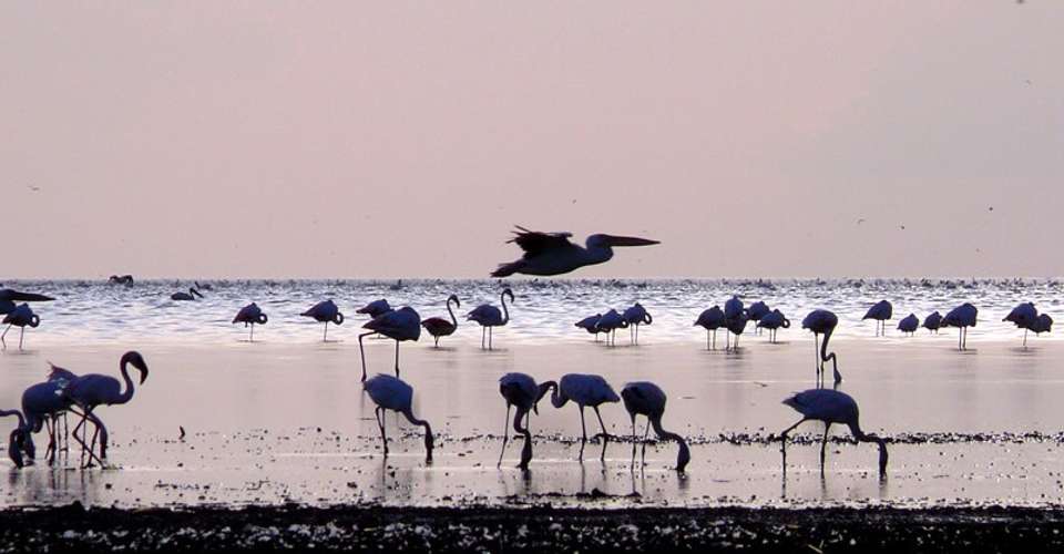 Tanzania Safari in Style - undefined - Image 4