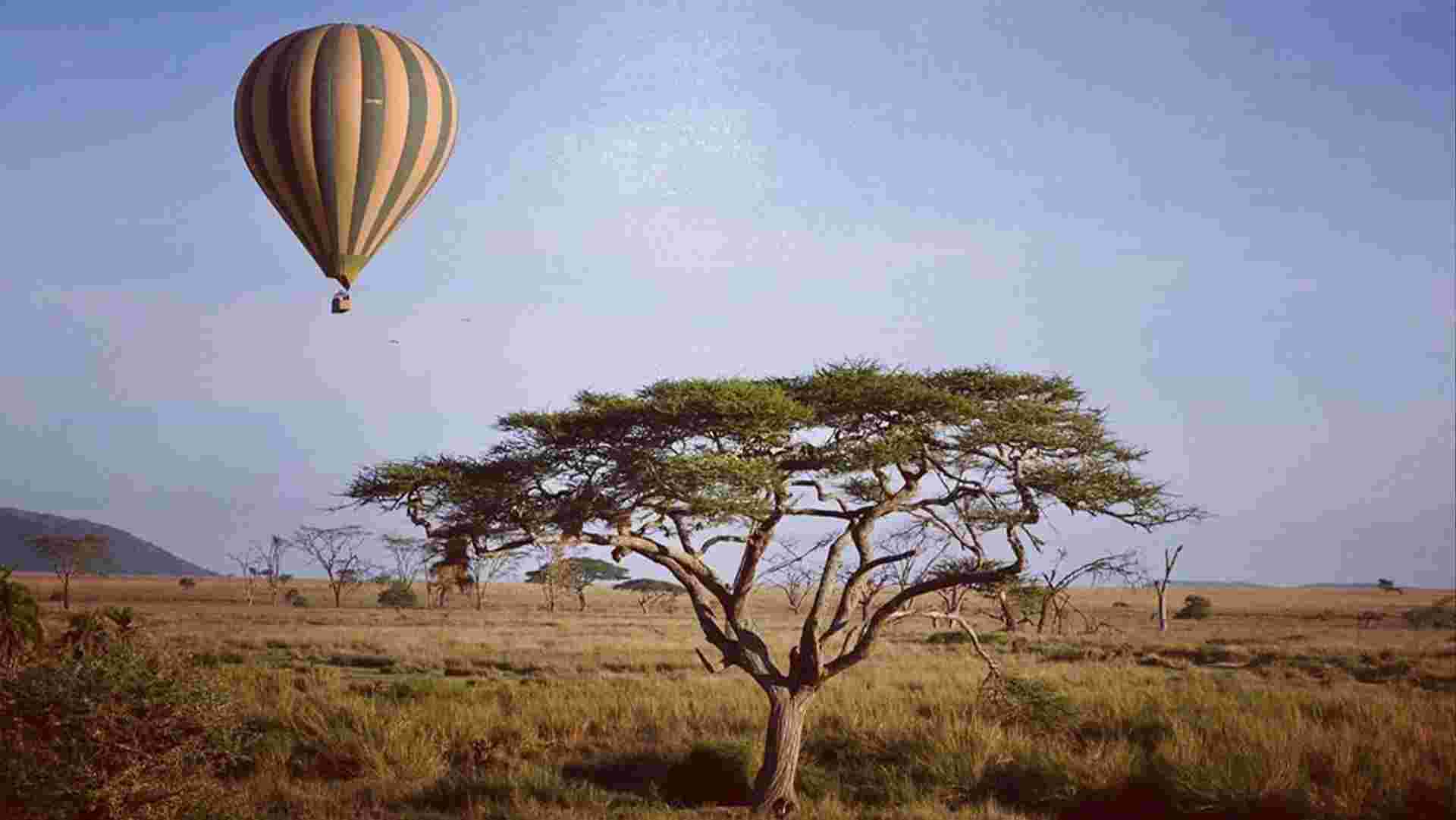 Tanzania: The Serengeti, Ngorongoro Crater & Local Flavours