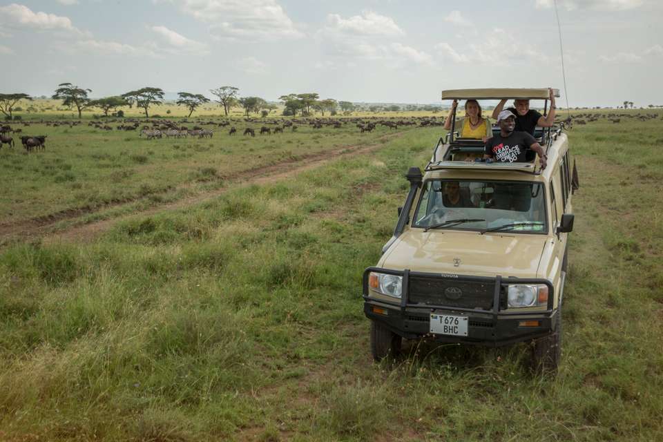 Tanzania Uncovered: Wildlife of the Serengeti & Ngorongoro Crater - undefined - Image 4