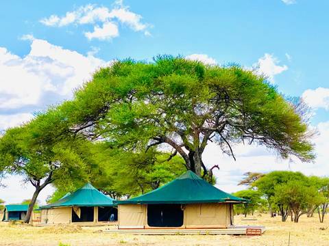Tanzania Small Group Tours: Tanzania Wildlife Week - 7 Days