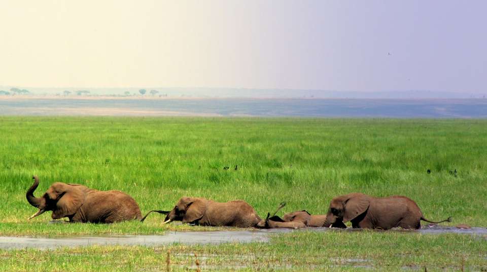 Tarangire National Park Day Trip Safari - Bush 2 City Adventure - Tanzania - Image 18