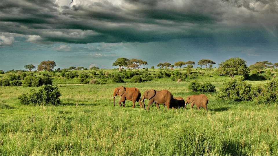 Tarangire National Park Day Trip Safari - Bush 2 City Adventure - Tanzania - Image 17